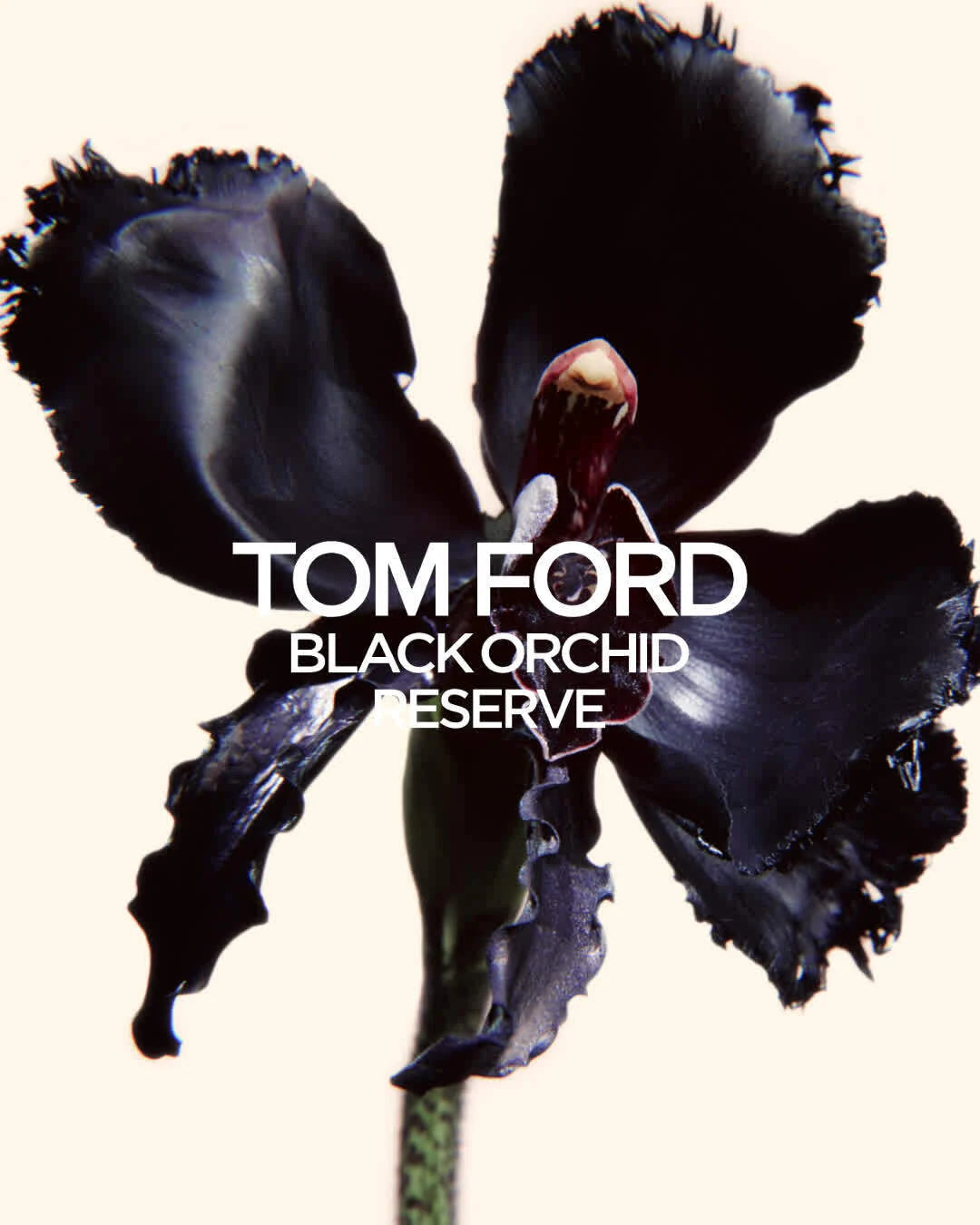 TOM FORD - BLACK ORCHID RESERVE PARFUM